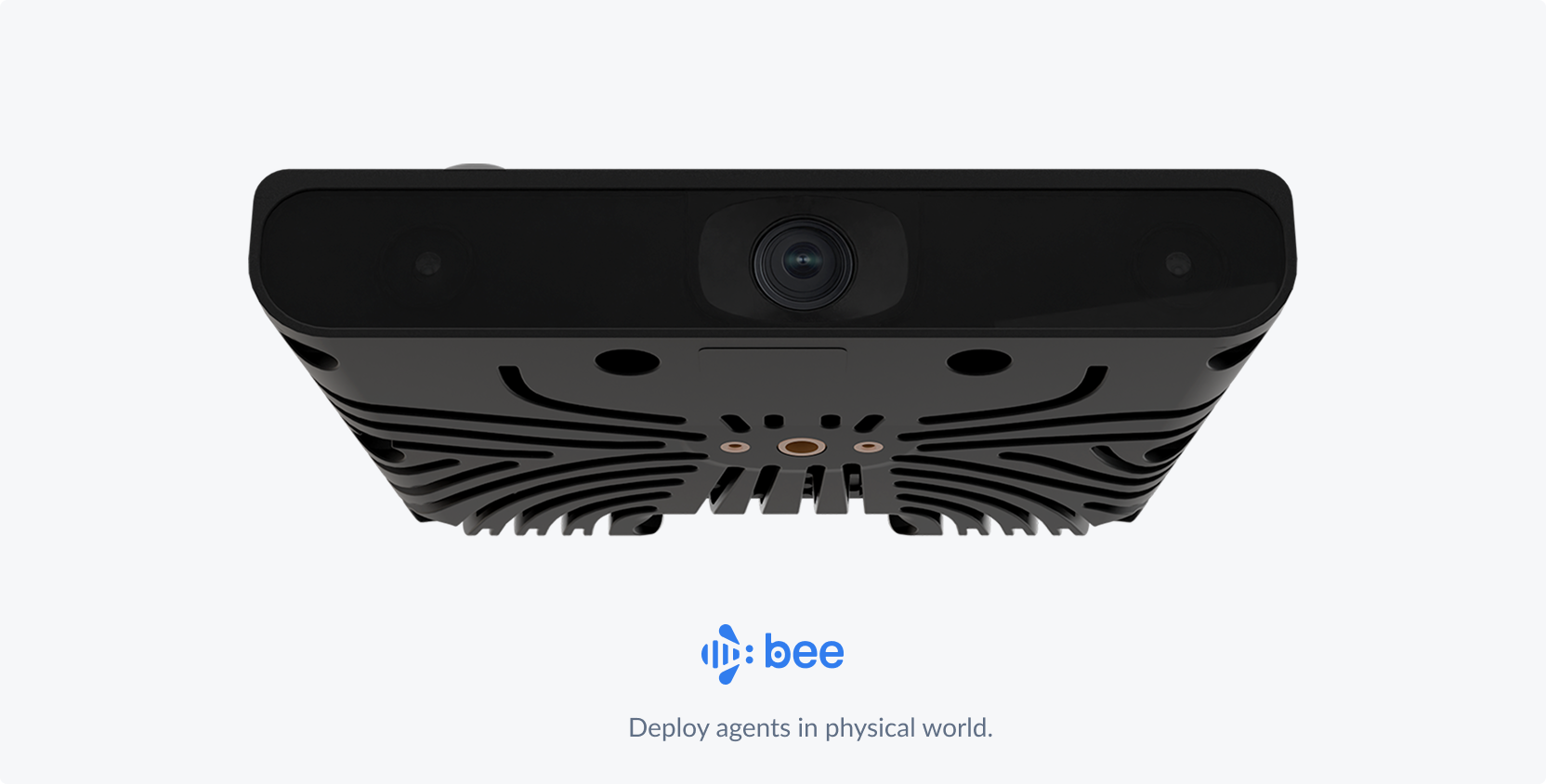 Bee camera