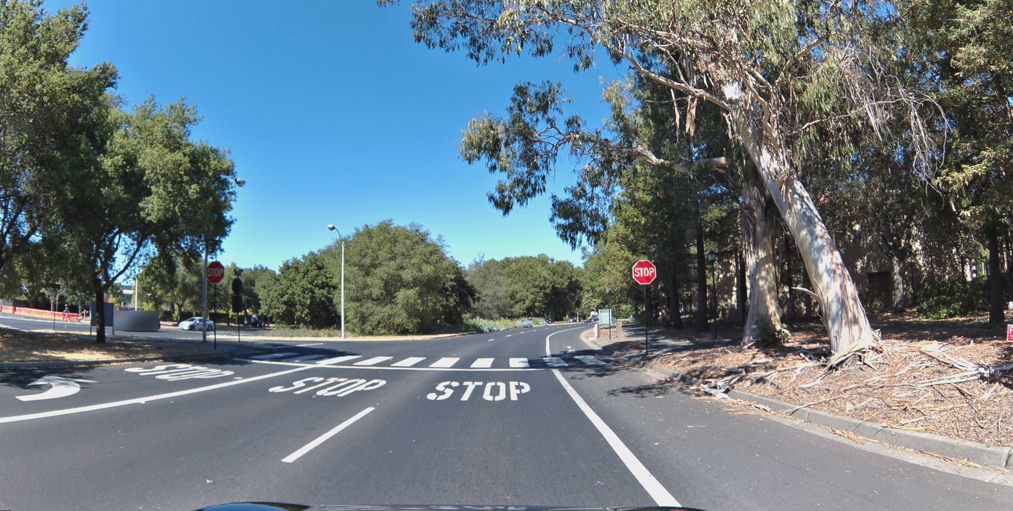 Why the Bee Knows Exactly Where It Is (1/124)