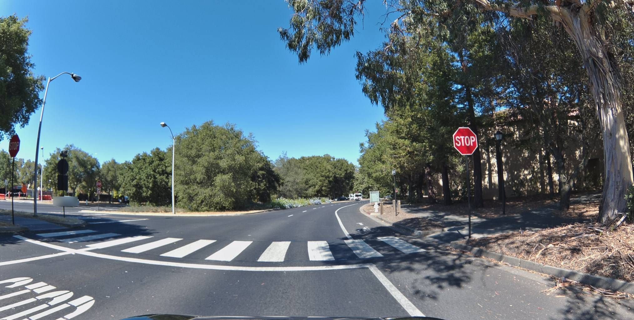 Why the Bee Knows Exactly Where It Is (2/124)