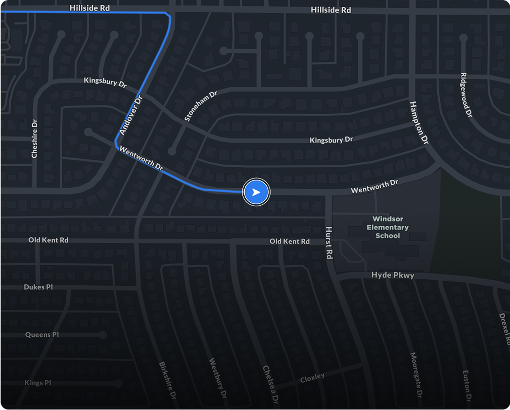 Live vehicle tracking on the Bee Maps map with route visualization